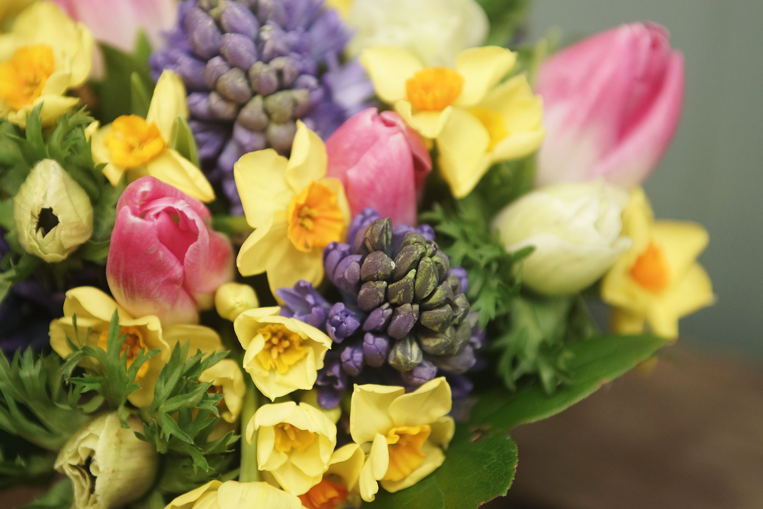 The Cornflower Floral Design