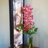 valentines-day-secret-admirer-orchid