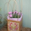 Lilac Dianthus