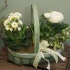 Springtime Planter - The Cornflower Floral Design